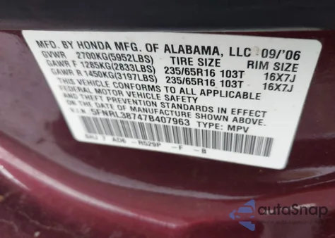 2007 Honda Odyssey Ex-L z USA, uszkodzony, nr VIN 5FNRL38747B407963